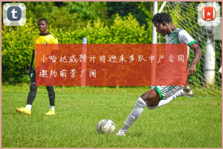 小哈达威预计将迎来多队中产合同邀约前景广阔