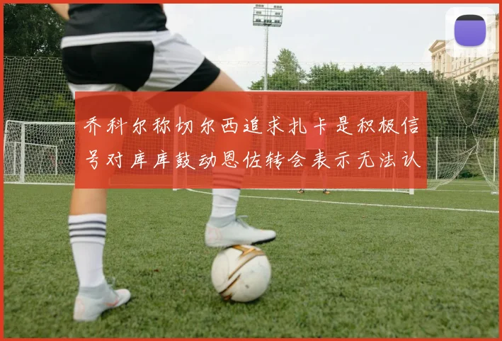 乔科尔称切尔西追求扎卡是积极信号对库库鼓动恩佐转会表示无法认同