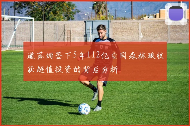 道苏姆签下5年112亿合同森林狼收获超值投资的背后分析